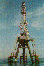 ftorto9